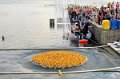 Maschsee13   704